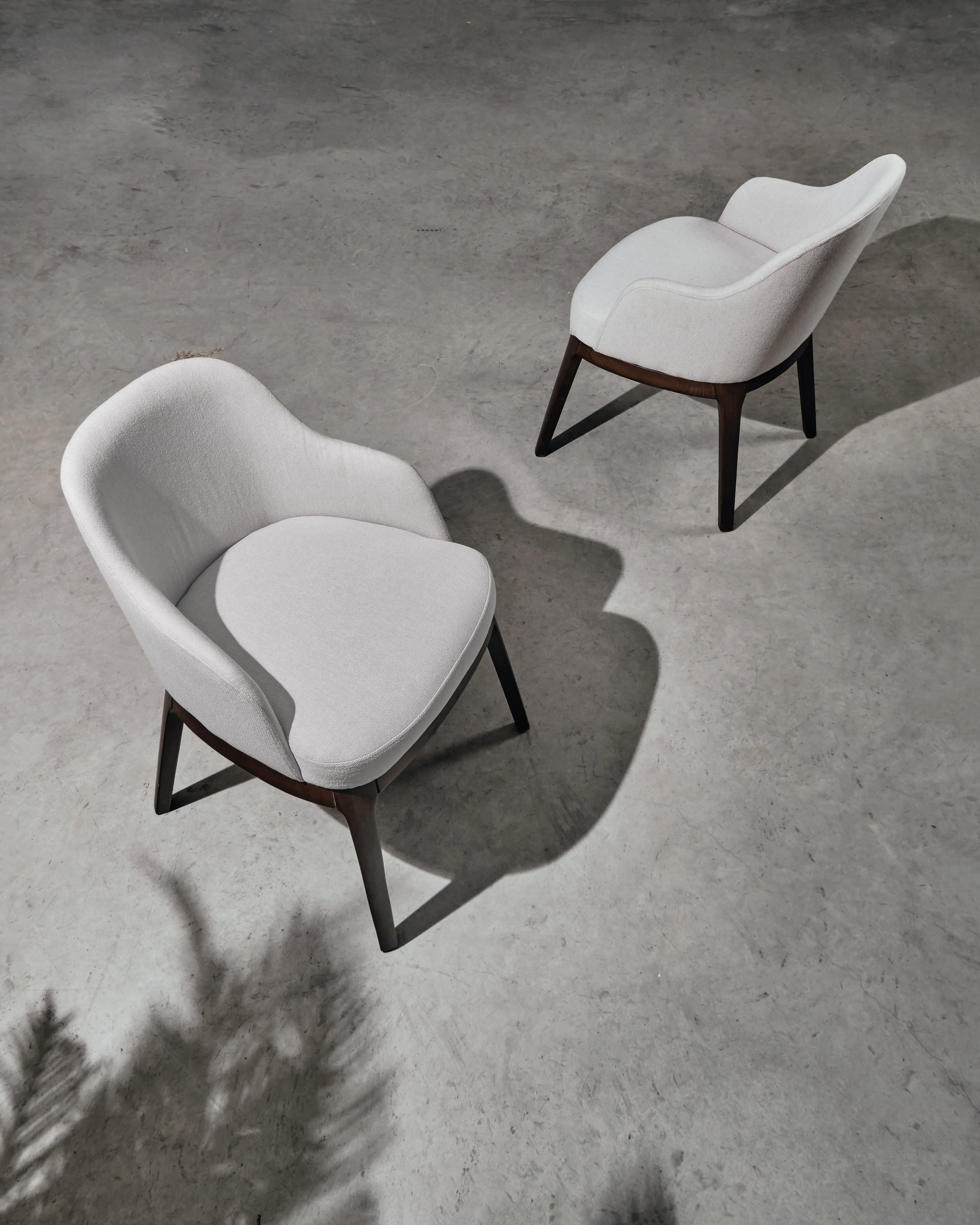 Miracle DIning Chair