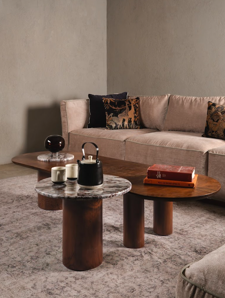Echo Coffee Table
